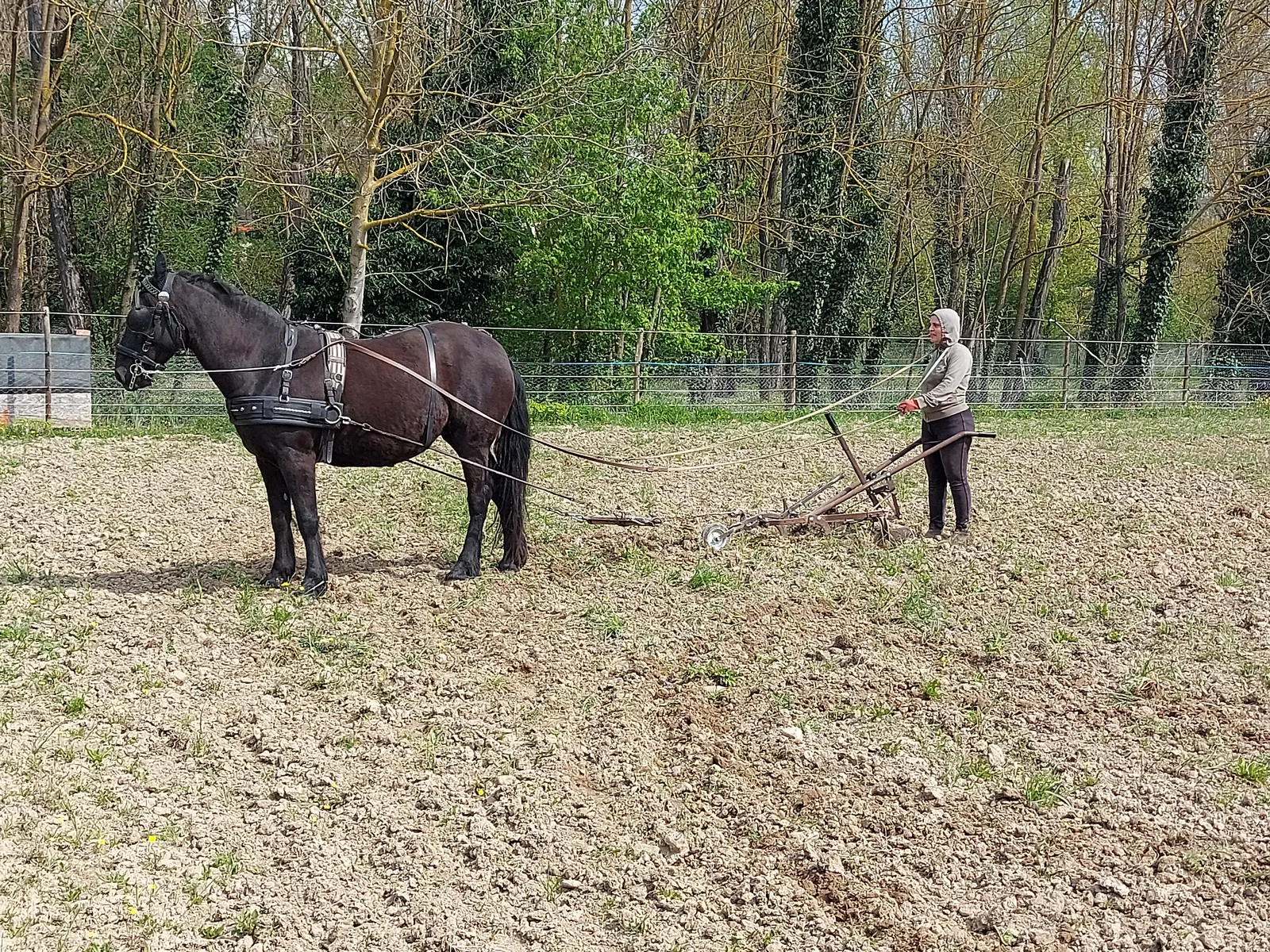 Athena durante il lavoro in campo nell'azienda agricola Natura Essenziale
